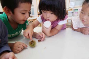 R3_9月の活動の様子-3